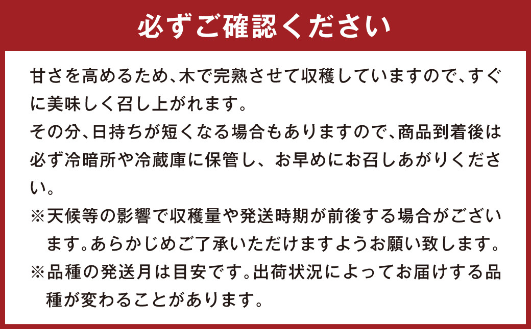 3種の梨 食べ比べ 定期便 合計 約15kg フルーツ 果物 青果 