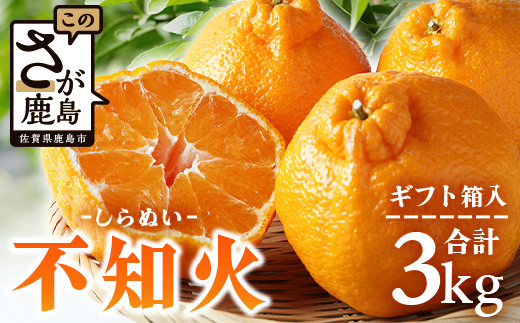 不知火 3kg ギフト箱入り【先行予約】| 不知火 贈答 ギフト デコポン と同品種 みかん 蜜柑 ミカン 柑橘 しらぬい シラヌイ くだもの 果物 フルーツ 大容量 不知火みかん 送料無料 人気 おすすめ 佐賀県 鹿島市 B-741