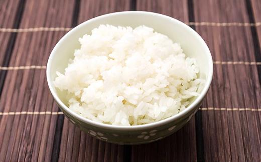 ミルキークイーン 精米 10kg 5kg × 2袋 茨城県産 令和8年産 小松崎商事 定期便 6ヶ月 連続お届け 442