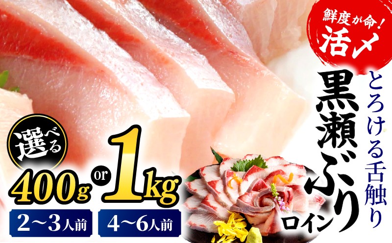 
                  KU281 高評価！活じめ！黒瀬ぶりの生鮮ブリロイン 400g 1kg | 刺身やぶり丼、カルパッチョやサラダなどに！ 刺身 海鮮 海産物 魚 水産物 海鮮丼 ぶりしゃぶ 生食 冷蔵 しゃぶしゃぶ 国産 ブリ 贈答用 おすそ分け お刺身 食品 お歳暮 ぶり大根 鮮魚 人気 おすすめ_K001-002-SKU
                