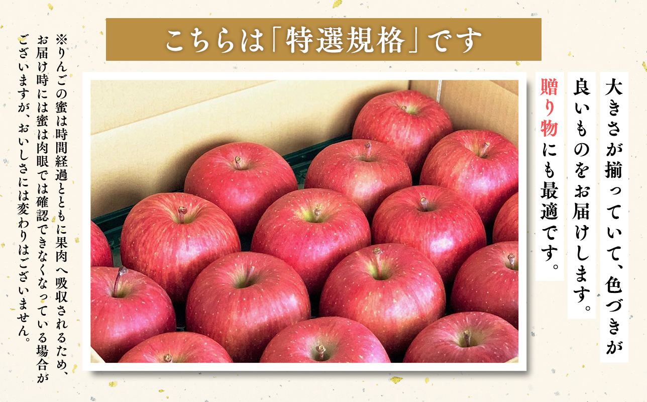 4月発送 【特選】サンふじ10㎏【りんご・青森・平川・特選・宮川商店・11月・12月・1月・2月・3月・4月】