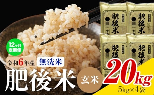 【12ヶ月定期便】熊本県産 肥後米 無洗米 玄米 20kg 1袋5kg 米 お米 令和6年産 九州産 熊本県産 送料無料《お申込み翌月に出荷予定》玄米 無洗米 米