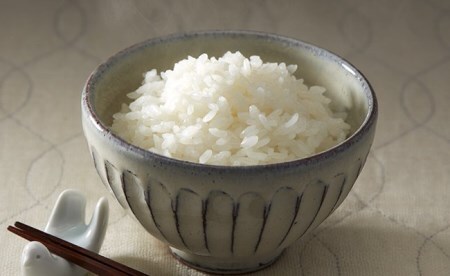 令和7年産 白米 10kg 品種 たかたのゆめ 陸前高田市 オリジナル ブランド米 冷めてもおいしい