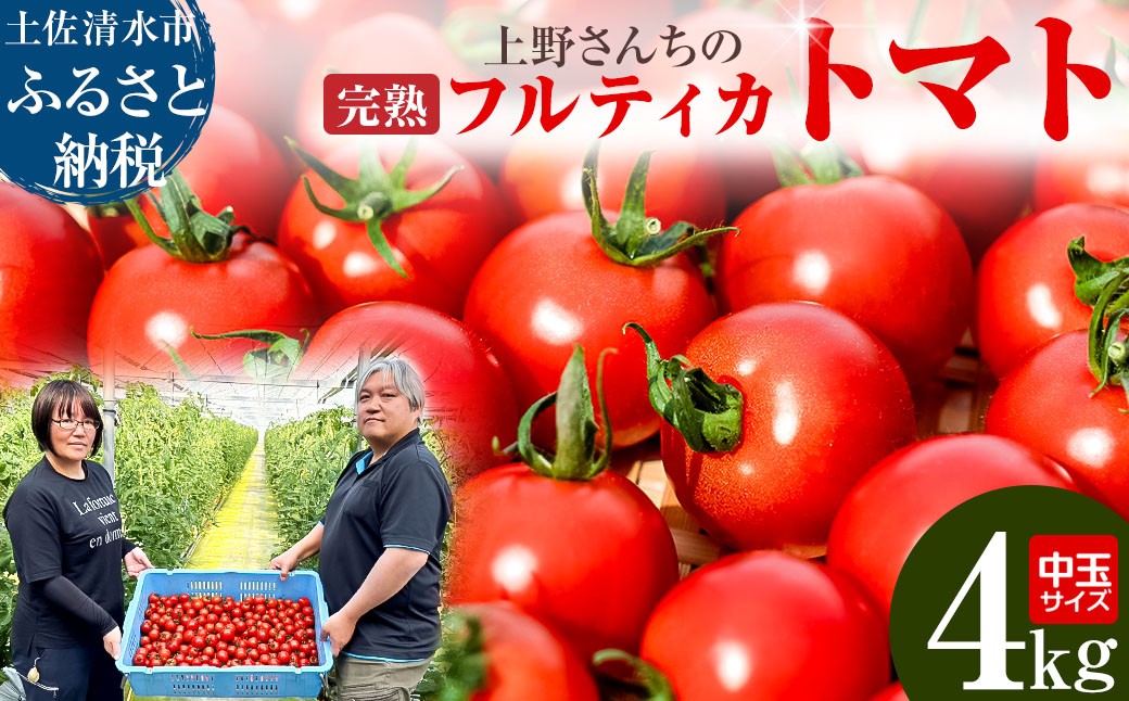 
                  【令和８年10月】完熟フルティカトマト4kg（中玉サイズ）2kg×2箱 天然地下水使用 ミディトマト とまと 4000g 4キロ 野菜 サラダ 料理 美味しい ギフト 国産 高知県 土佐清水市【R00559】
                