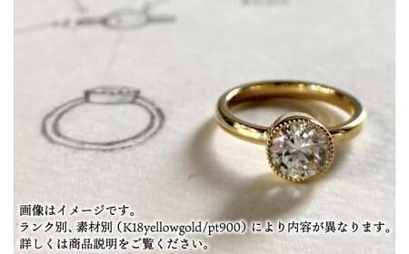 Éternelle ring -エテルネル リング (pt900 プラチナ) プレミアムプラン 【 ダイヤモンド リング 1カラット pt900 プラチナ アクセサリー ご褒美 茨城県 鹿嶋市 】 (