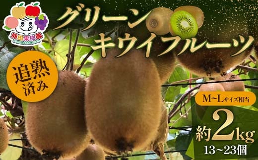
                  ＜先行予約＞追熟済み グリーンキウイフルーツ約2kg M～Lサイズ相当(13～23個) デザート フルーツ 果物 くだもの 果実 食品 F23R-943
                