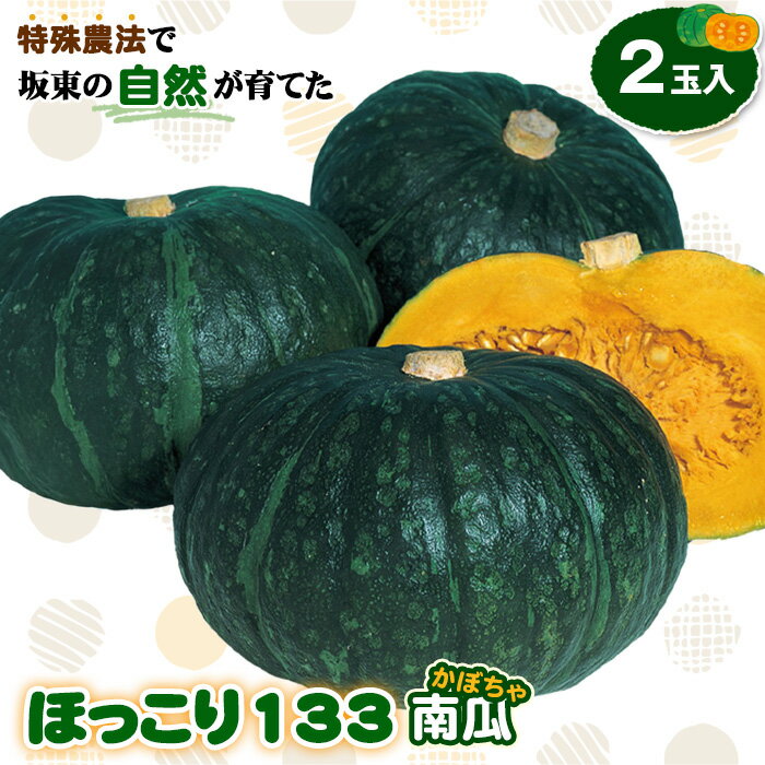 【ふるさと納税】No.842 特殊農法で坂東の自然が育てた「ほっこり133南瓜」2玉入 ／ かぼちゃ カボチャ ホクホク 甘味 品質 糖度 野菜 送料無料 茨城県