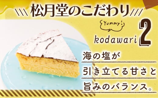 チーズケーキ 海の塩 チーズケーキ 1ホール 湘南藤沢名物 出来立て 急速冷凍 ケーキ デザート チーズ 菓子 お菓子 焼き菓子 スイーツ おやつ ちーずけーき 海 塩 人気 お取り寄せ 誕生日 記念