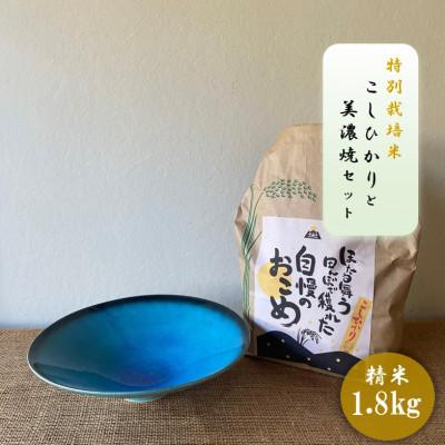 ふるさと納税 多治見市 【令和7年産:精米】特別栽培米コシヒカリ(1.8kg)+【美濃焼】青輝貫入7寸鉢