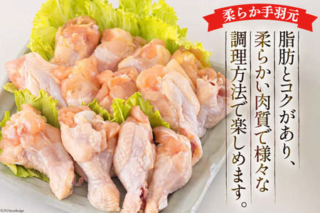 宮崎県産 若鶏 むね 手羽元 もも 合計5kg 1kg包装 小分け 鶏肉 冷凍 鶏肉 炒め物 鶏 煮込み 調理 鶏肉 料理 大容量 真空 鶏 胸 鶏肉 ジューシー ヘルシー 鶏肉 唐揚げ 若鶏 からあ