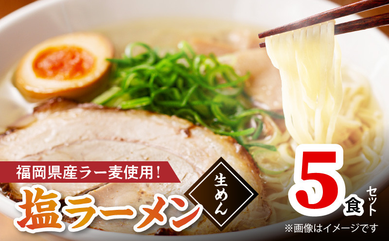 
            【福岡県産ラー麦使用】塩ラーメン 5食 PC8106
          