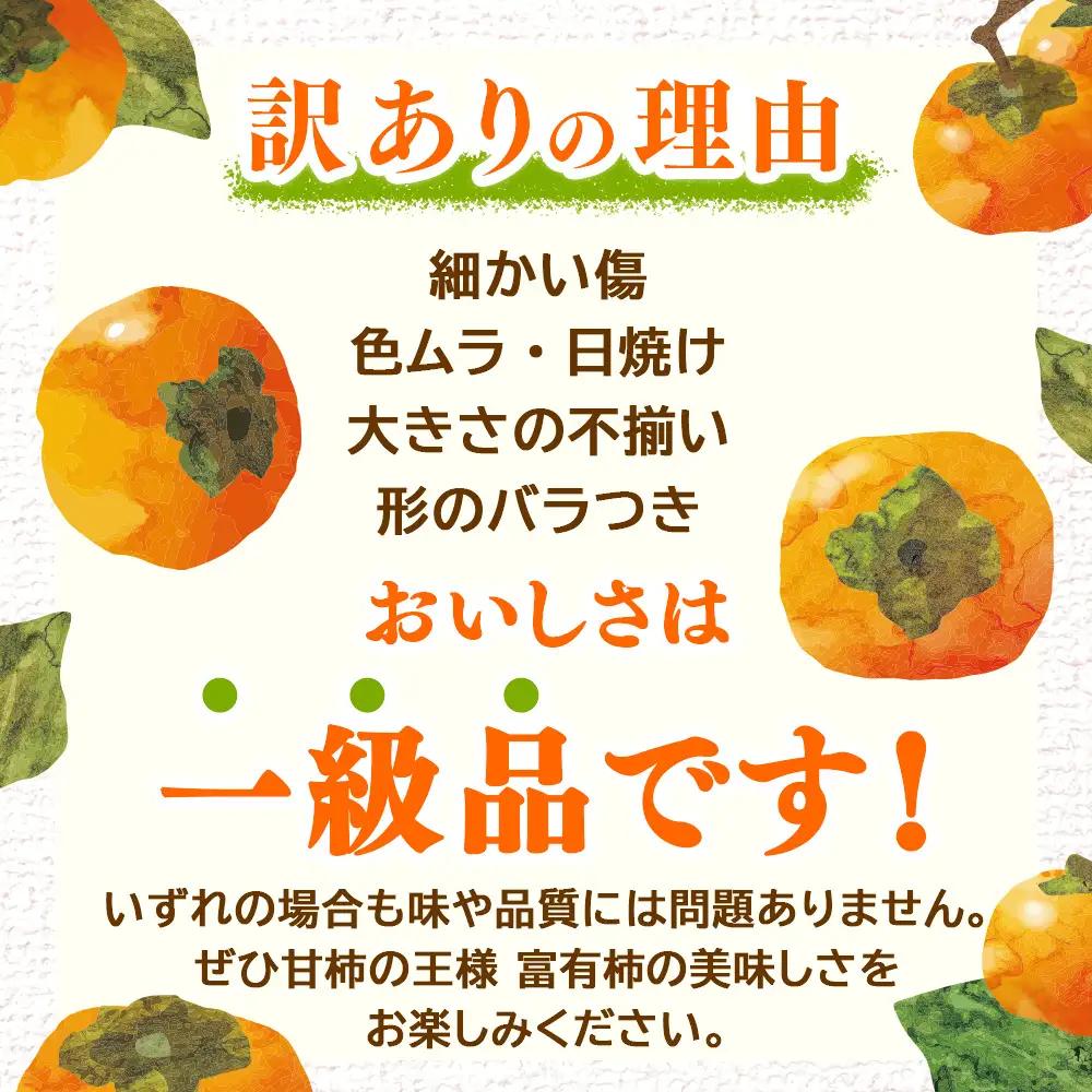 【先行予約】岐阜県瑞穂市産 訳あり富有柿 10kg | 柿 富有柿 ※2026年11月～発送