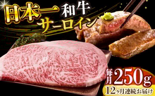 【全12回定期便】【A4～A5】長崎和牛サーロインステーキ　250g（250g×1枚）【株式会社 MEAT PLUS】 [DBS084]長崎和牛 和牛 国産 牛肉  長崎和牛 サーロイン ステーキ　250g 250g 1枚12回定期便 定期便 12回
