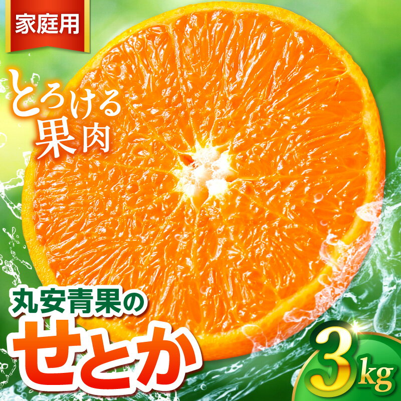 【ふるさと納税】【2027年発送先行予約品】丸安青果 訳あり せとか 3kg 家庭用 │ 果物 フルーツ 柑橘 みかん せとか 3kg 高級 高級みかん 訳あり 家庭用 旬 春