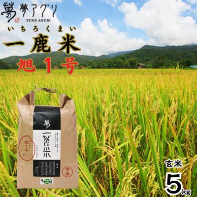 ふるさと納税 山鹿市 一鹿米 旭一号 栽培期間中肥料農薬不使用 米 玄米 5kg【株式会社夢アグリ】《山鹿市》