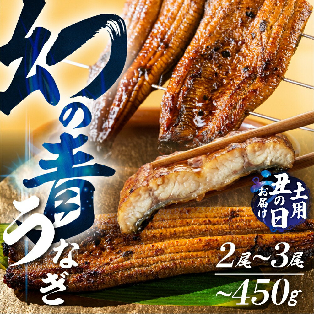 【ふるさと納税】《土用の丑の日 受付中》幻の青 うなぎ 2尾 3尾 ランキング 入り 高評価 蒲焼 発送時期が選べる 300g ~ 450g 厳選 鰻 蒲焼き 最高級 土用の丑の日 母の日 丑の日 指定日 うなぎ 冷凍 丑の日 惣菜 unagi ランキング 1位 送料無料 ギフト どうまい
