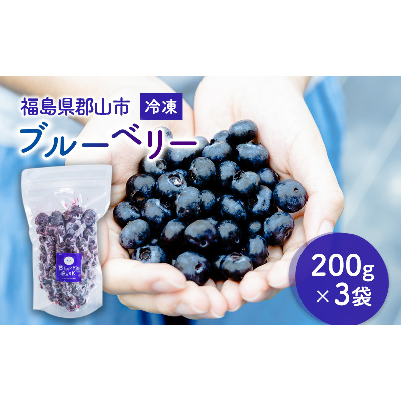 冷凍ブルーベリー200g×3袋(600g)