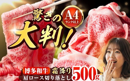 【A4～A5】 博多和牛 大判霜降り 贅沢切り落とし 500g (250g×2P) 吉富町/株式会社MEAT PLUS[BGAB109]
