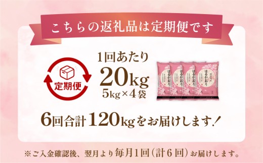 【1ヶ月毎6回定期便】 はるかおり 20kg 計120kg ／ 米 コメ お米 ライス ご飯 ごはん 飯 食品 精米 定期便 常温 福岡県 香春町