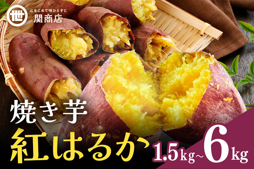 
            【期間限定】 関商店 焼き芋 紅はるか 1.5/3kg/6kg （1箱/2箱/4箱） 国産 茨城県産 砂糖不使用 焼き芋 やきいも 焼芋 焼きいも べにはるか ベニハルカ 甘い 柔らかい 安心 安全 品質 食味 おやつ 62-SKU-B
          