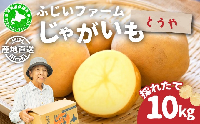 ＜先行予約＞北海道産 じゃがいも(とうや) 約10kg | ジャガイモ 馬鈴薯 ポテト 芋 イモ 国産 野菜 人気 ふじいファーム