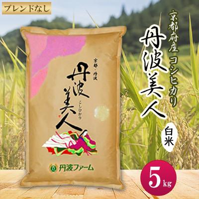 ふるさと納税 綾部市 【令和7年産】京都府産コシヒカリ　丹波美人(白米)5kg