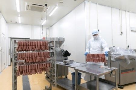 わかやまジビエソーセージ　猪・鹿１０パックセット 【mtf104】