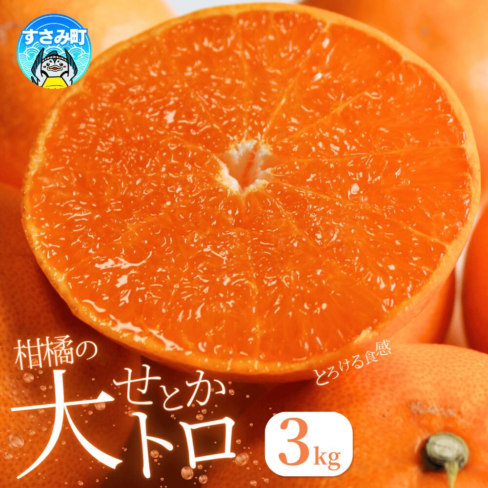 【ふるさと納税】とろける食感！ジューシー柑橘 せとか 約3kg ※2026年2月下旬頃〜2026年3月下旬頃発送(お届け日指定不可) / みかん 果物 フルーツ くだもの 柑橘 和歌山 ミカン 有田みかん