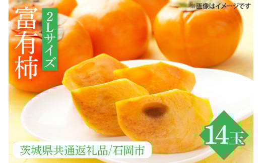 【先行予約】【2025年10月下旬以降発送】【数量限定】富有柿 2L 14玉【茨城県共通返礼品/石岡市】【水戸市 茨城県 カキ 柿 フルーツ 果物 くだもの 富有柿 ジューシー 甘い】（IU-10）
