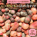 【ふるさと納税】※数量限定※【先行予約】自然栽培のじゃがいも 3種 約5kg 農家直送 芋 詰め合わせ 多治見市 / ほたるファーム [TEB002]