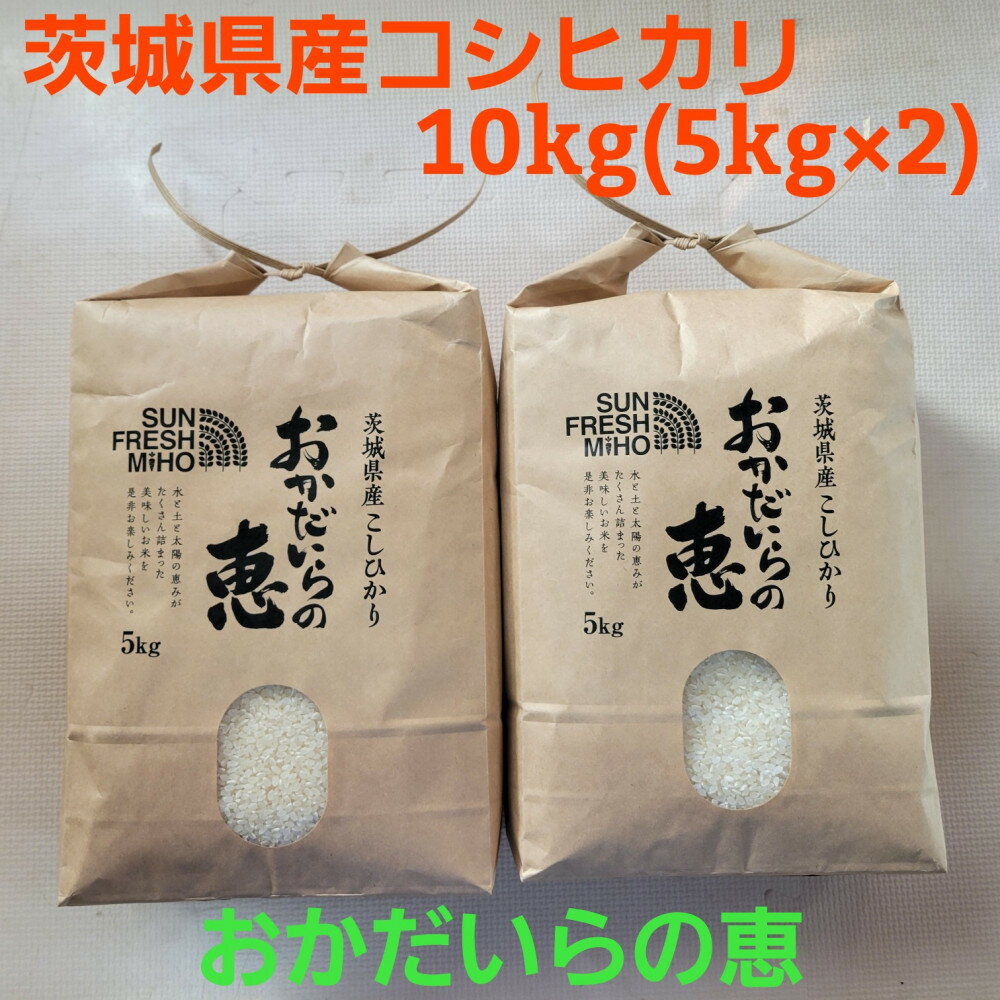 【ふるさと納税】令和7年産 コシヒカリ10kg（5kg×2）『おかだいらの恵』