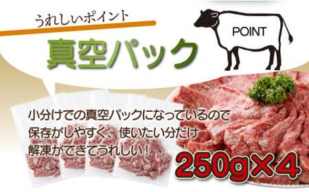 <2025年12月発送分>宮崎県産 宮崎牛バラ焼肉用 250g×4パック 合計1kg