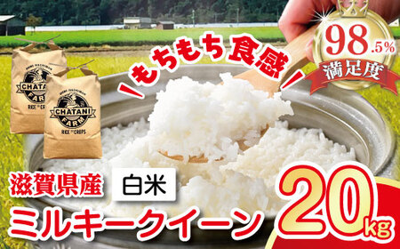 【7年産】近江米 ミルキークイーン 白米 20kg 【V015W】 近江米
