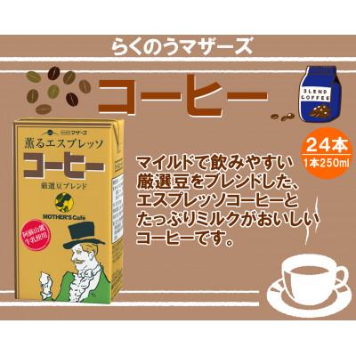 ふるさと納税 菊池市 コーヒー250ml×24本(菊池市)