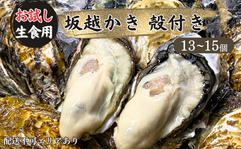 
牡蠣 生食用 お試し 坂越かき 殻付き 13～15個[ 生牡蠣 真牡蠣 かき カキ 一人暮し 冬牡蠣 ]
