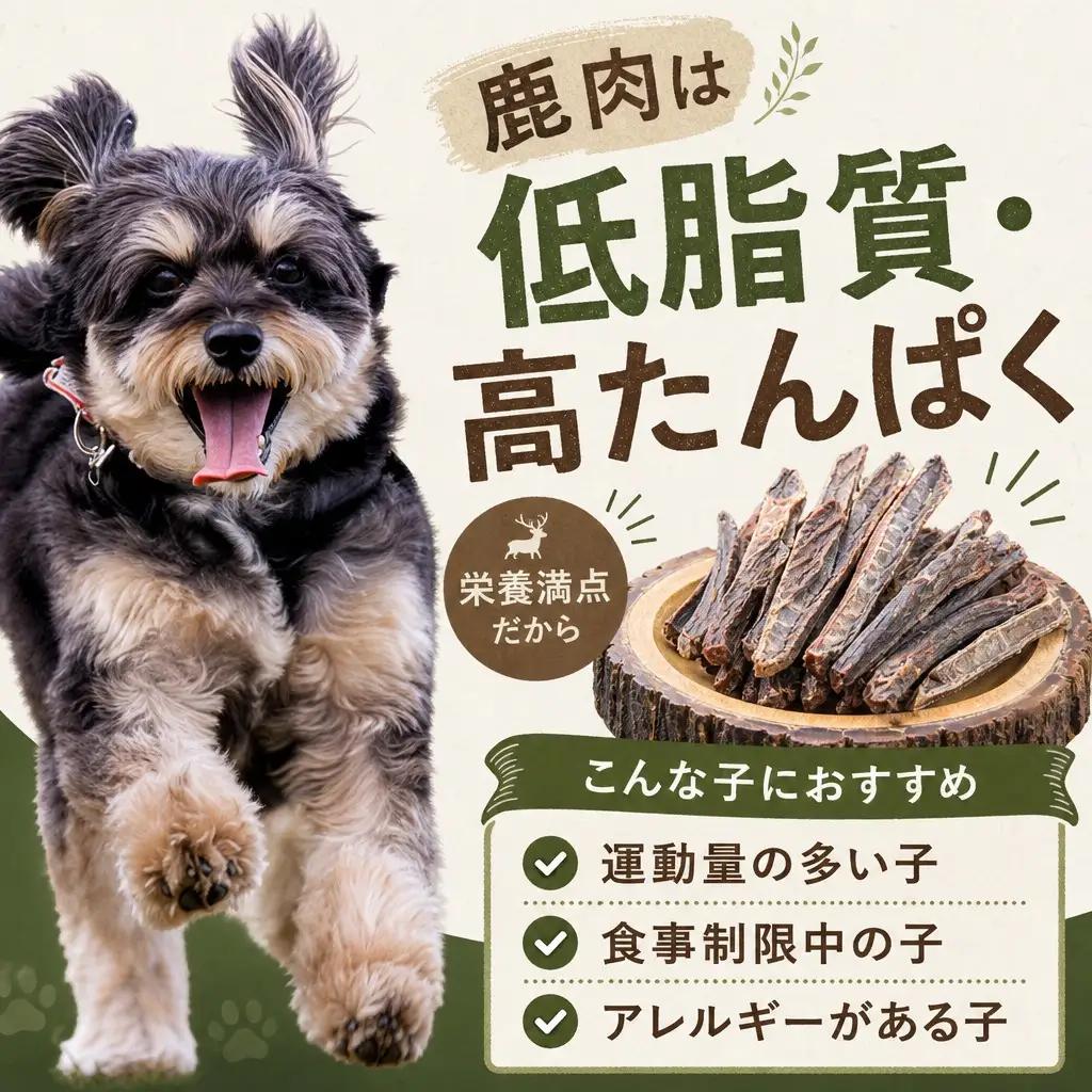 DearHounds こだわりの愛犬 愛猫用おやつ蝦夷鹿すね肉ジャーキー100ｇ×2個　合計200g ｜ ペットフード ペットフード