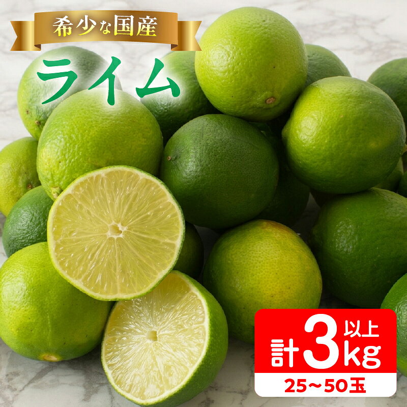 【ふるさと納税】先行予約 皮まで使える ライム 計3kg以上 希少 国産ライム 果物 くだもの フルーツ 柑橘 おすすめ 塩ライム ジュース 飲み物 サラダ 調味料 焼肉 バーベキュー BBQ デザート おすそ分け 産地直送 食品 お土産 宮崎県 日南市 送料無料