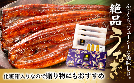 うなぎ 国産 蒲焼 3尾 うなぎ[480g以上]