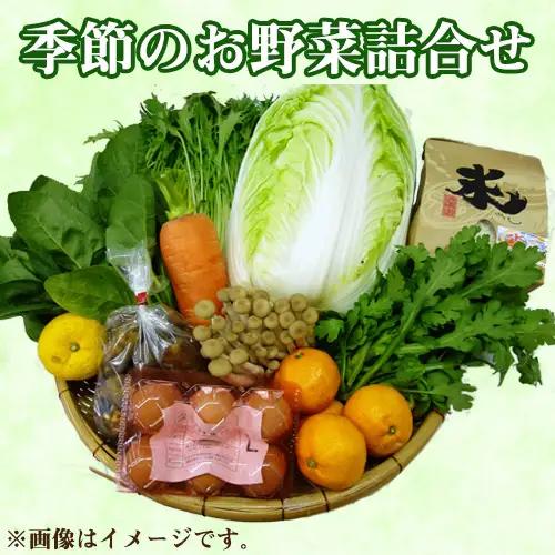 季節のお野菜詰め合わせ No.083