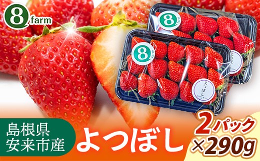 【先行予約】 よつぼし 2パック 【 選べる品種 約290g×2パック 四つ星 イチゴ いちご 苺 ストロベリー 冷蔵 安来市産】【10-FA-12】