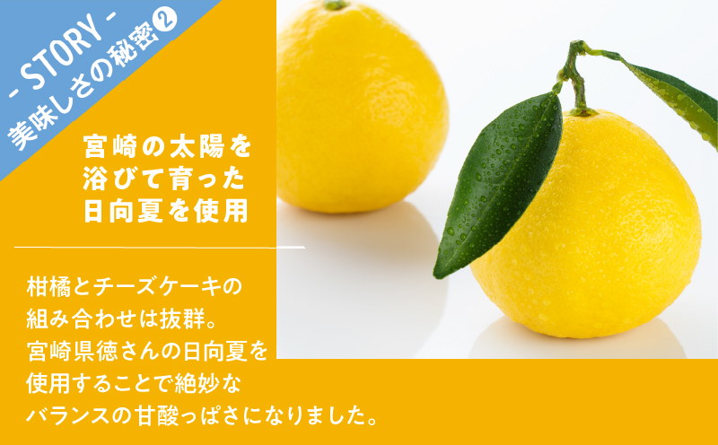 農の都で生まれた「都のチーズケーキ」計1個 スイーツ 洋菓子 国産_T038-009