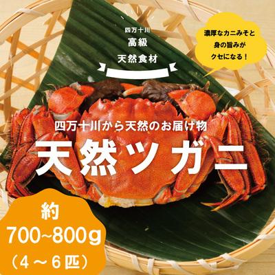 ふるさと納税 四万十市 高級天然食材!四万十川の天然ツガニ 約700g〜800g(4〜6匹) 24