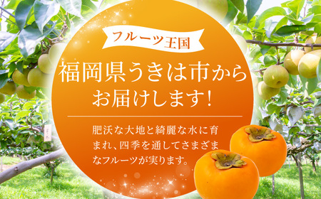 P294-05 【先行予約】春光園 冷蔵富有柿 15～20玉 2024年12月中旬〜2025年1月下旬お届け