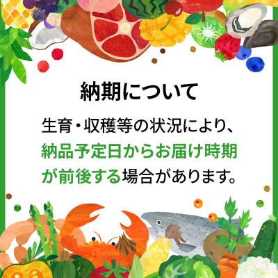 ふるさと納税 秋田市 《定期便9ヶ月》秋田市雄和産あきたこまち 清流米 4kg|15_akn-bb0409h |  | 01