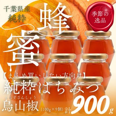 ふるさと納税 大網白里市 千葉県産「純粋はちみつ」からすざんしょう【計900g】100g×9個