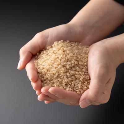 ふるさと納税 新庄村 令和6年産 村の一等米コシヒカリ(玄米5kg) |  | 02