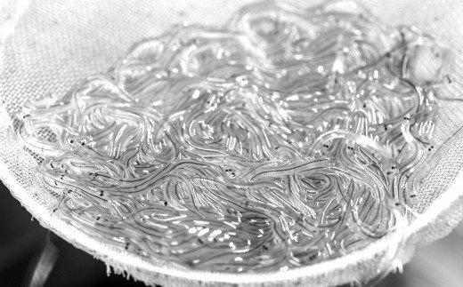 田野町産うなぎの蒲焼き2匹と天然鮎4匹セット　タレ付き 山椒付き うなぎ 鰻 ウナギ 蒲焼き かば焼き 無頭 おいしい 国産 お取り寄せ 冷凍 配送