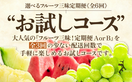 【先行予約】【定期便 3回コース】坂井市フルーツ三昧！！お試し3回コース (アールスメロン1玉 ＆ シャインマスカット1房 ＆ 大玉スイカ1玉) 【2027年6月中旬以降順次発送予定】 [E-3216