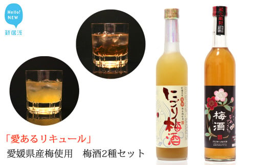 【お中元専用】「愛あるリキュール」梅酒500ml×2種セット ひめさくらの梅酒・にごり梅酒 愛媛県産梅使用 【愛媛 近藤酒造】 ギフト・プレゼントに最適