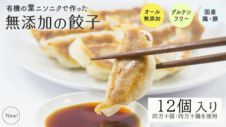 【餃子】葉にんにくと四万十豚で作った餃子(6個入りx2パック）